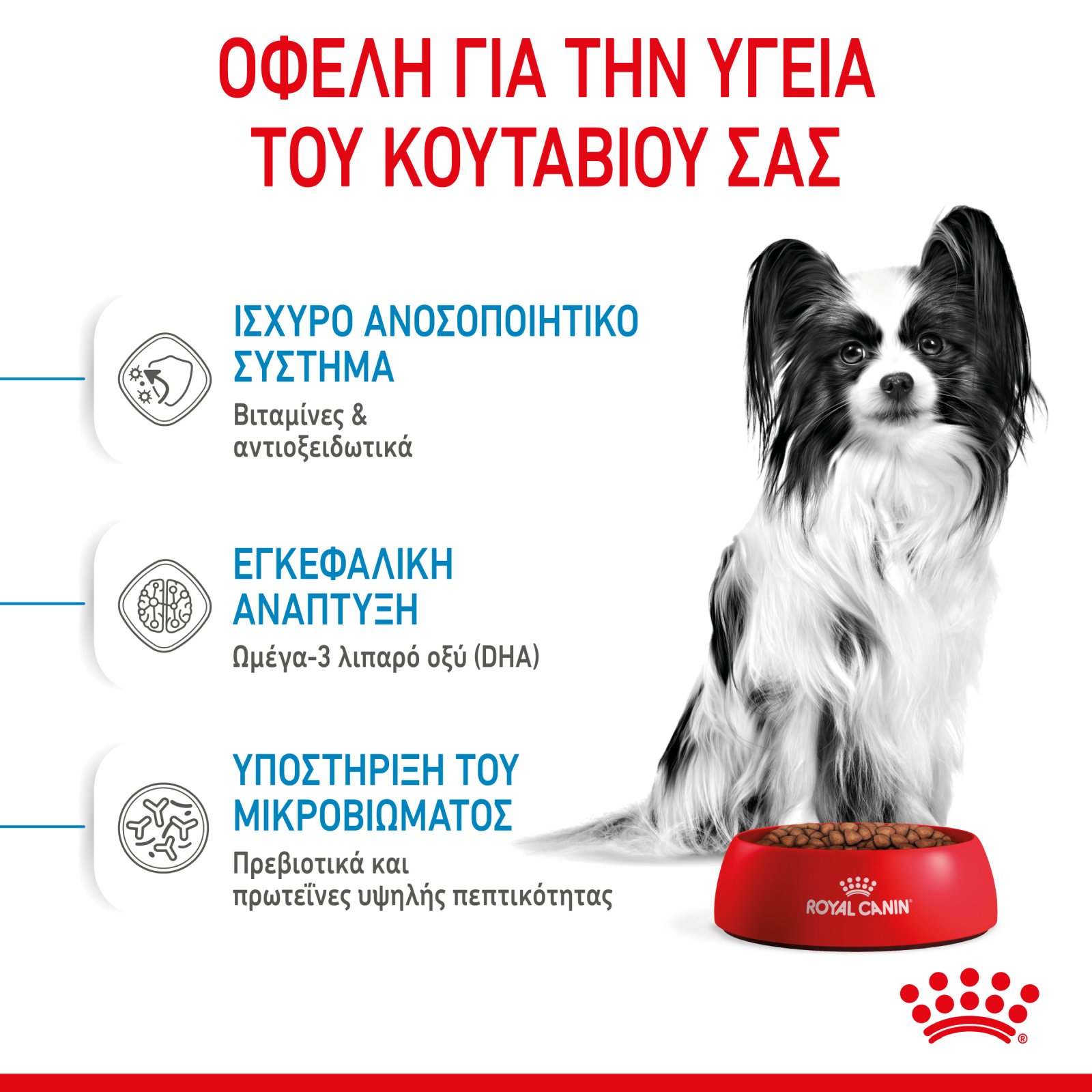 Royal Canin Size Health Nutrition Xsmall Puppy 500gr - Image 4
