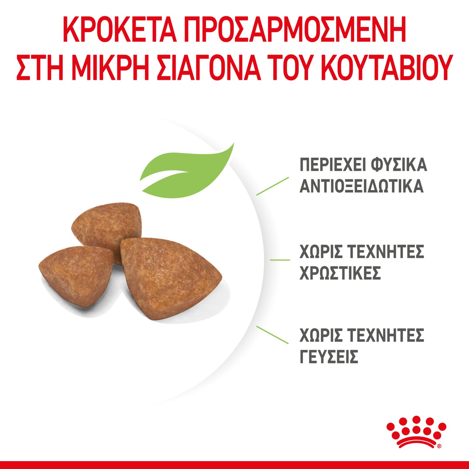 Royal Canin Size Health Nutrition Xsmall Puppy 500gr - Image 5
