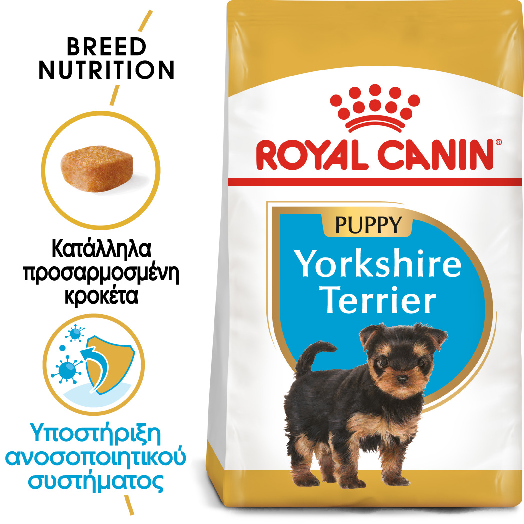 Royal Canin Breed Health Nutrition Yorkshire Terrier Puppy 1,5kg - Image 3