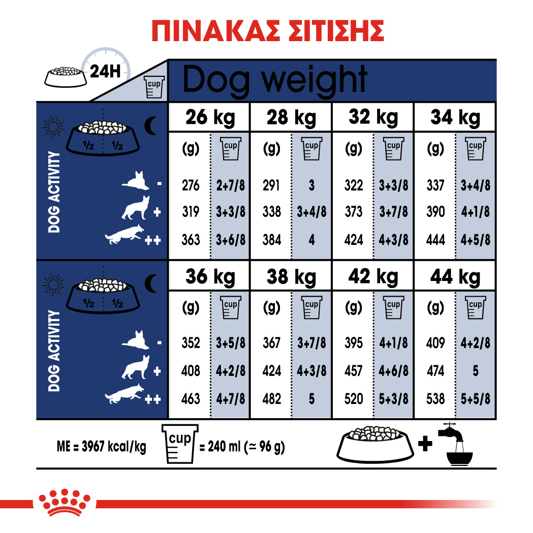 Royal Canin Size Health Nutrition Maxi Adult 12kg - Image 2