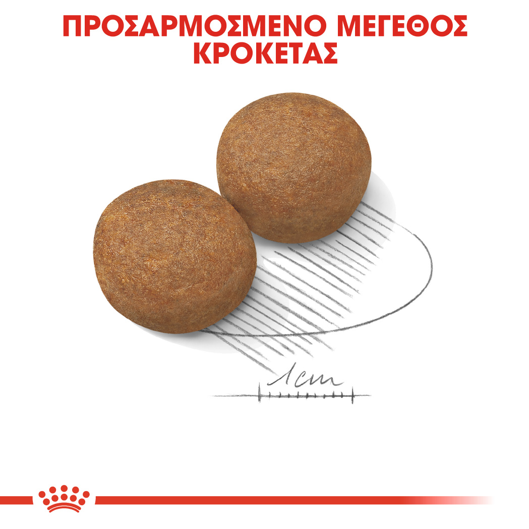 Royal Canin Size Health Nutrition Maxi Adult 12kg - Image 4